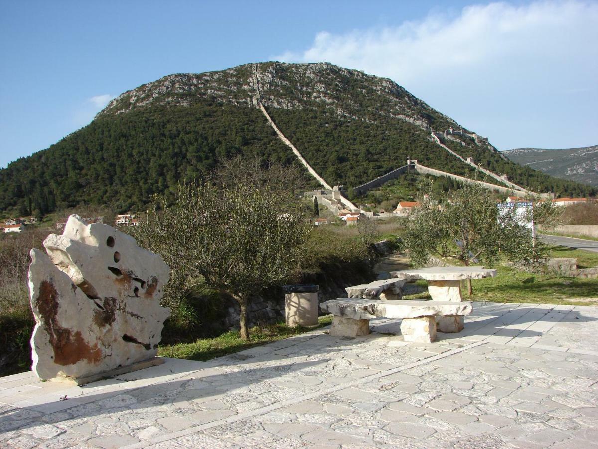 Iva Lavanda Putnikovic Exterior photo